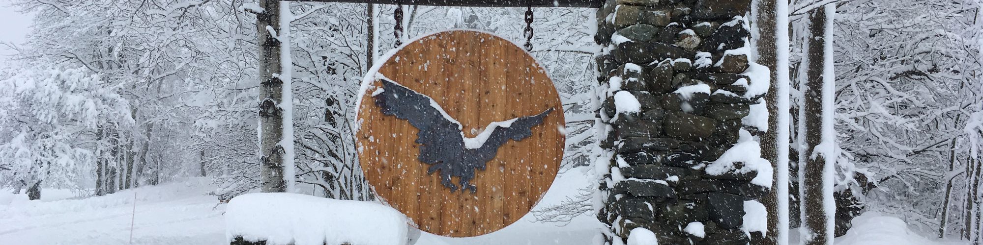 Great Hawk Rochester, Vermont