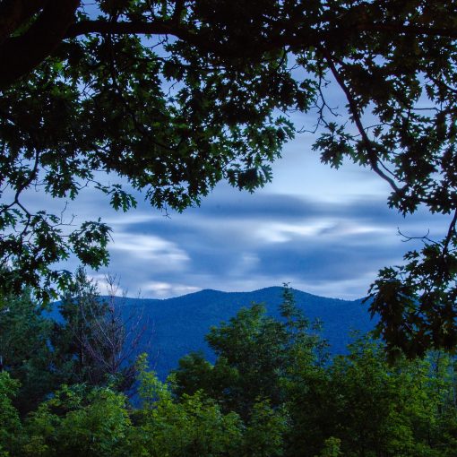 Great Hawk Rochester, Vermont